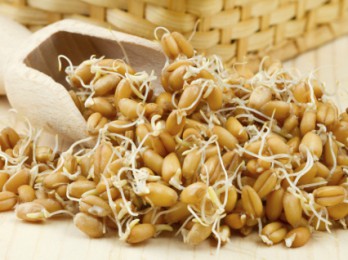 Оздоровление волос с маслом зародышей пшеницы